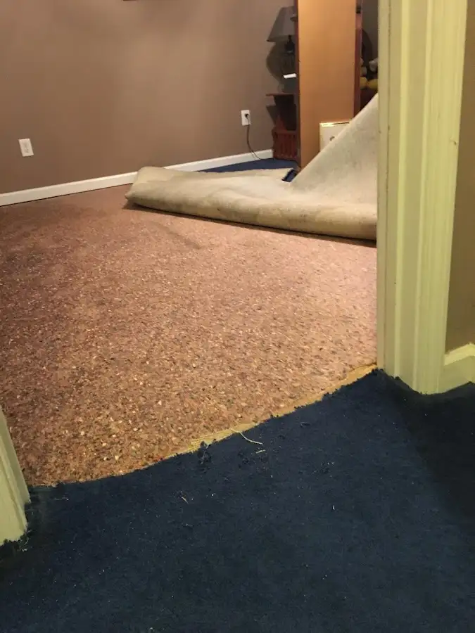 Carpet pad removal revealing water damage during Water Mitigation Services in Lake Barrington