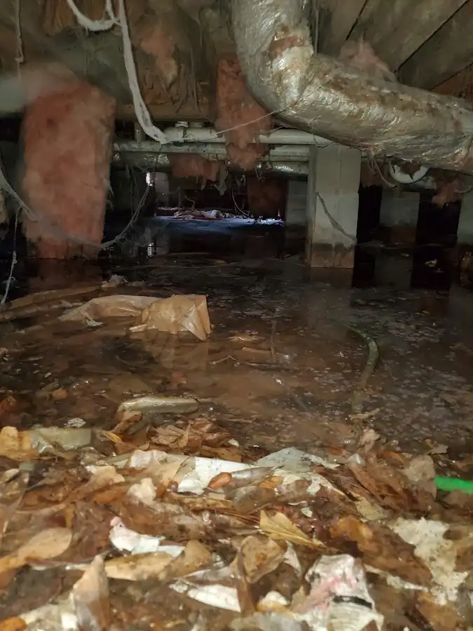 Crawl space flood assessment for Leak Detection & Repair in Lake Barrington